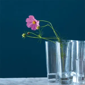 Wall paint | Rockwall Floor and Paint